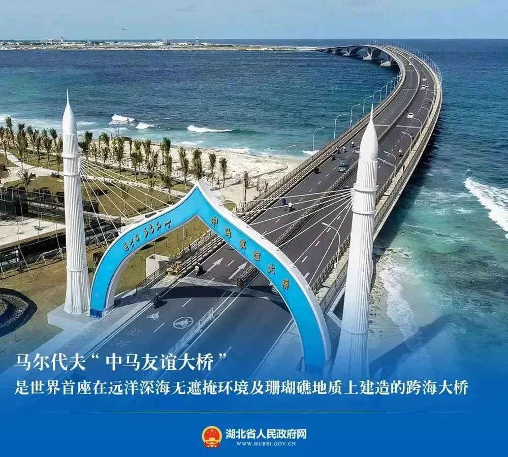 43cf646097d03f72c5a3918d159fb119.jpg